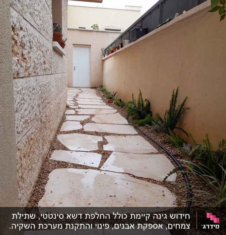 שביל אבן עם צמחים ירוקים ודשא מלאכותי